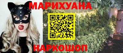 МДПВ Гатчина