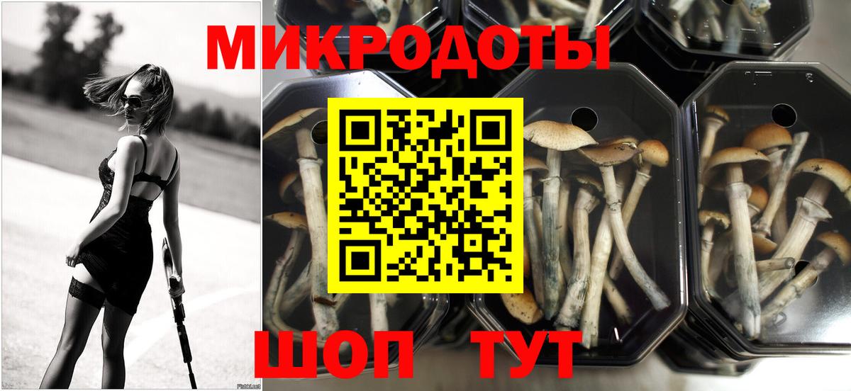 Псилоцибиновые грибы ЛСД Кушва